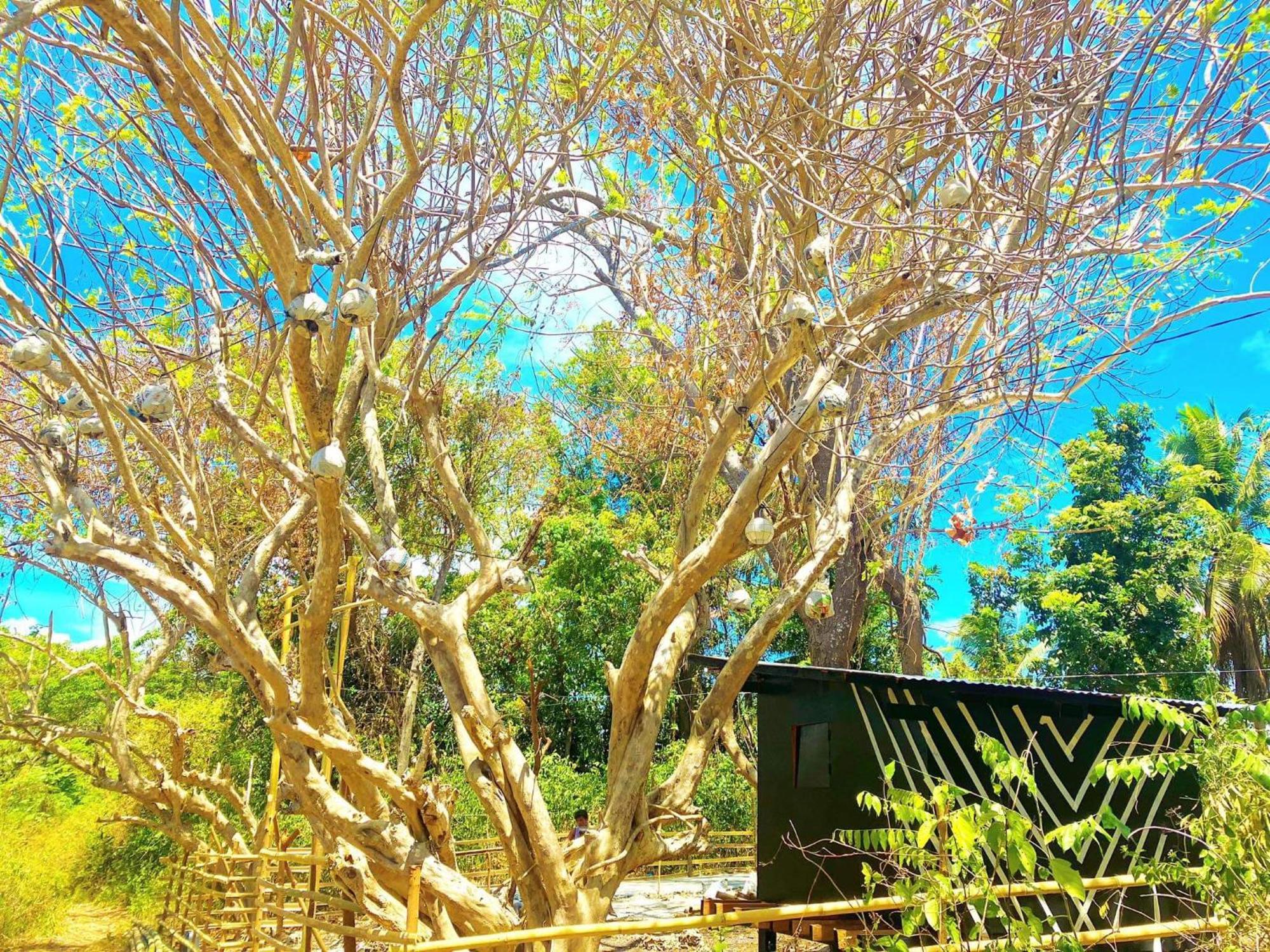 Campsarap Hostel & Resort Valencia  ภายนอก รูปภาพ