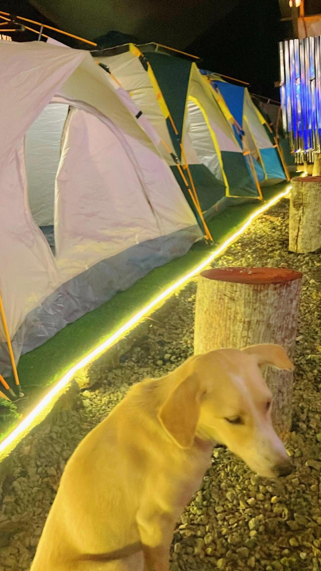 Campsarap Hostel & Resort Valencia  ภายนอก รูปภาพ